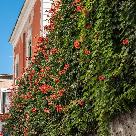 Luxury Santa Teresa Old Town شقة